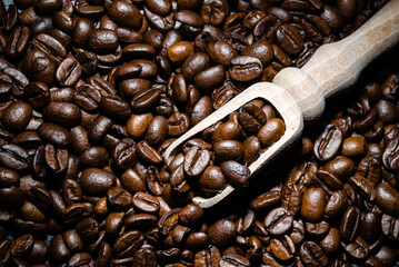 Freshly roasted coffee beans in wooden scoop. Black coffee background.
