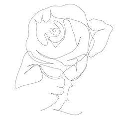 One-line art. One continues line art. white rose on white background