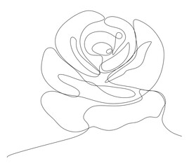 One-line art. One continues line art. hand drawn sketch of a rose