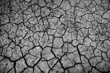 black background cracks white texture desert effect abstract