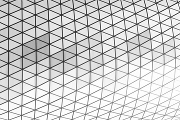 Diagonal black& white architecture pattern