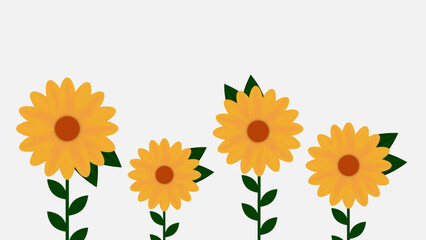 Yellow growing flowers and green leaves on white background.