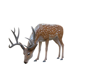 3d render  deer faun winter creature