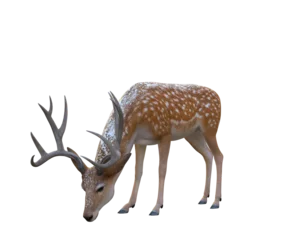 Poster Im Rahmen 3d render  deer faun winter creature © david