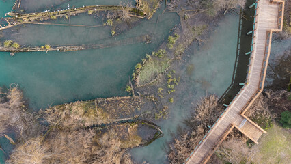 Boat cemetery located in the province of Treviso in Casier. Dead boats in crystal clear water with seagulls and birds that build nests for us to procreate.