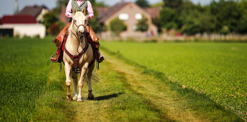 Horse Western with rider riding on a meadow path in summer, horse on the left in the picture..