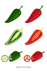 Jalapeno Chili Pepper