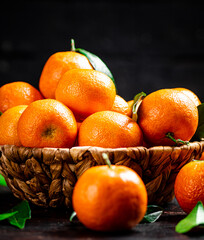 Fresh tangerines with leaves in a basket. 