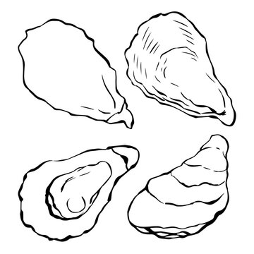 black and white oysters on white background clip art preview