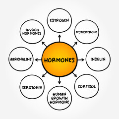 Hormones - your body's chemical messengers, mind map concept background