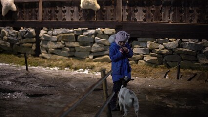 A young girl feeding goat. Close up on hand and goat head. Innsbruck, Austria.