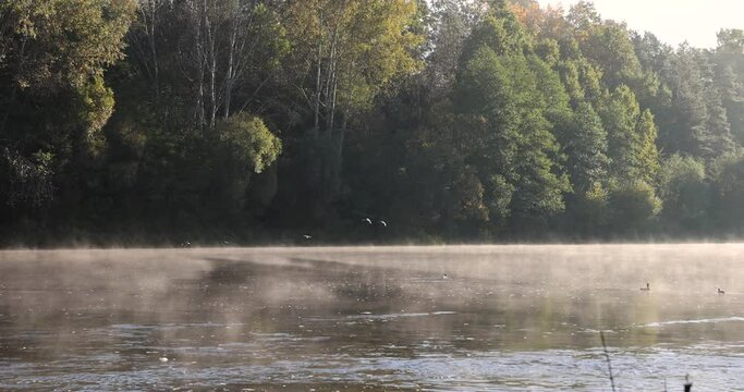 A little fog on the river in the autumn season, fog on the surface of the river in the autumn season during the sunny dawn