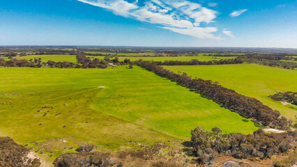 Kangaroo Island valley and trees, aerial view from drone - Australia