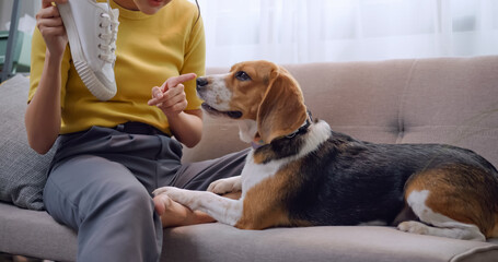 A young woman scolds her dog for destroying household items.