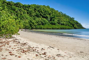Daintree National Park beach on a sunny day, Australia. Cape Tribulation