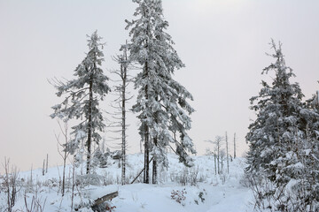 Fototapeta Śnieżna zima w górach obraz