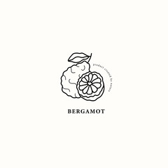 Line art bergamot fruit drawing - obrazy, fototapety, plakaty