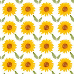 Sunflower watercolor seamless pattern. Yellow flowers garden farmhouse background. Summer flowers, autumn harvest flower with floral elements hand drawn illustration on white background