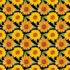 Sunflower watercolor seamless pattern. Yellow flowers garden farmhouse background. Summer flowers, autumn harvest flower with floral elements hand drawn watercolor illustration on black background
