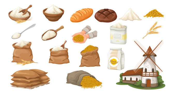 Wheat flour and grains set vector illustration. Cartoon burlap bag full of organic whole cereal seeds with scoop, wooden bowl with flour to bake bread in bakery, ears from farm field and windmill