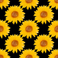 Sunflower watercolor seamless pattern. Yellow flowers garden farmhouse background. Summer flowers, autumn harvest flower with floral elements hand drawn watercolor illustration on black background