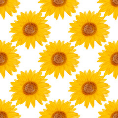 Sunflower watercolor seamless pattern. Yellow flowers garden farmhouse background. Summer flowers, autumn harvest flower with floral elements hand drawn illustration on white background