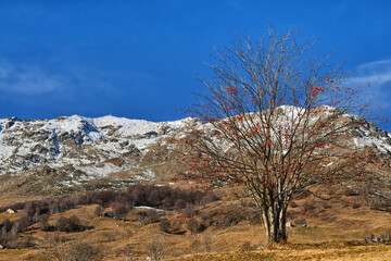 The Mombarone panoramic peak on the Biella pre-Alps, seen going up to the Salvine huts in Graglia.