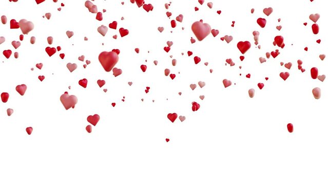 Falling red chubby hearts. 4k seamless video on white background. Valentine's day, special days concept.	