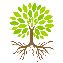 Fototapeta premium tree with leaves