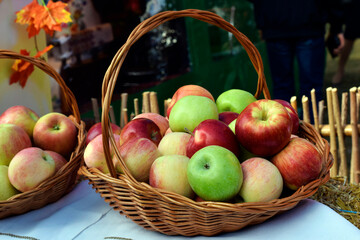 Basket of apples of different colors in the garden