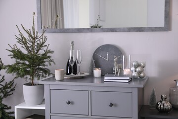 Beautiful room interior decorated for Christmas with potted fir