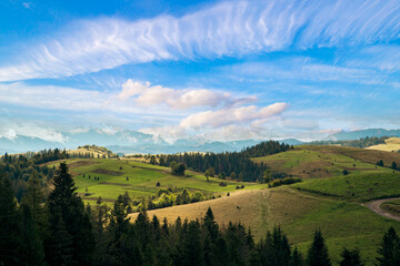 Idyllic landscape in the Alps with fresh green meadows and blooming flowers mountain tops in the background. hills on top of mountains in cloudy weather.