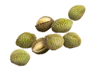 Many ripe durian fruits falling on white background