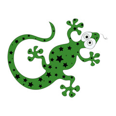 green lizard on white background