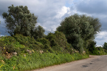 Dry stone wall typical of Mallorca