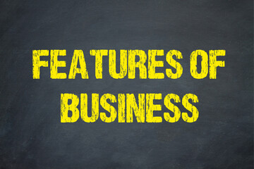 Features of Business