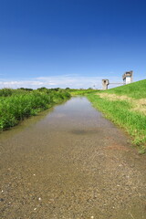 台風一過翌朝の冠水した江戸川河川敷の砂利道風景