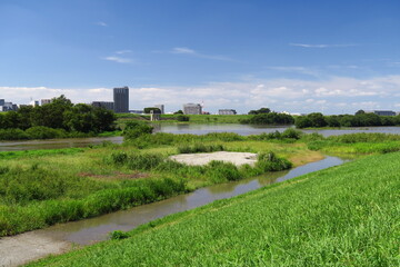 土手から見る秋の台風一過の翌朝の増水した江戸川と冠水した河川敷風景