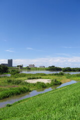 Fototapeta na wymiar 土手から見る秋の台風一過の翌朝の増水した江戸川と冠水した河川敷風景