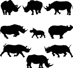 Set of Rhinoceros Silhouettes. Vector Illustration