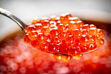 Red caviar in a spoon. 