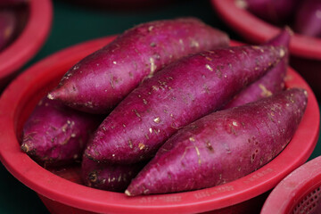 한국 전통시장의 고구마