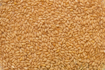 Wet whole raw flax seeds soaked in water. Organic texture abstract background.