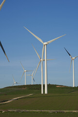 wind turbine in the field