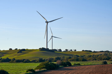 wind turbines in the field