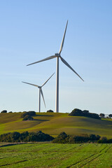 wind turbines in the field