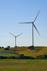 wind turbine in the field