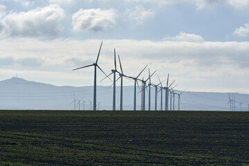 wind turbine in the field
