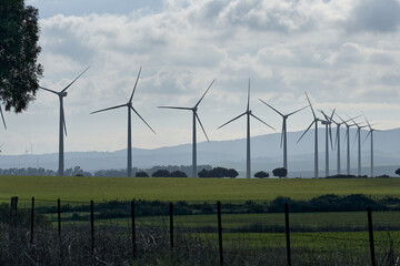 wind turbine in the field