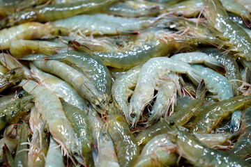 한국전통시장의 새우